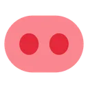 돼지 코