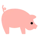 돼지