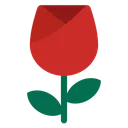 장미