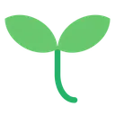 묘목
