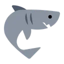 상어