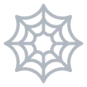 Spider Web