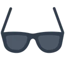 Dark Sunglasses