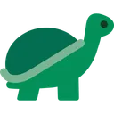 거북이