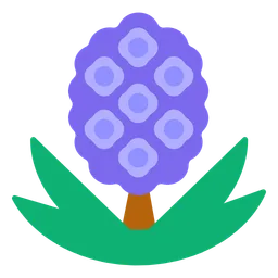 Hyacinth — Toss Face