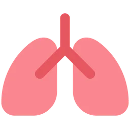Lungs — Toss Face