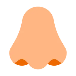 Nose: Medium-Light Skin Tone — Toss Face