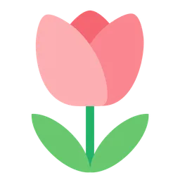 Tulip — Toss Face