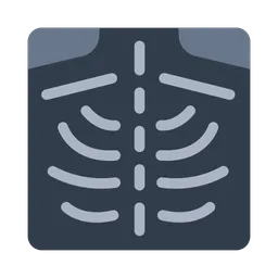 X-Ray — Toss Face