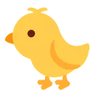 아기 병아리
