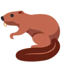 비버