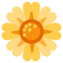 꽃