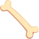 뼈