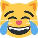 기쁨의 눈물을 흘리는 고양이