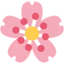 벚꽃