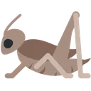 크리켓
