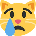 우는 고양이