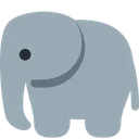 코끼리