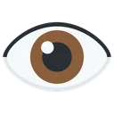 눈