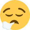 얼굴 숨 내쉬기
