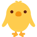 앞을 향한 아기 병아리