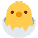 병아리 부화