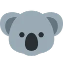 코알라
