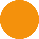 주황색 원