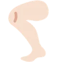 다리: 밝은 피부 톤