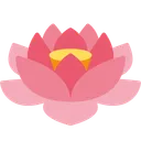 연꽃