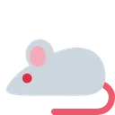 마우스