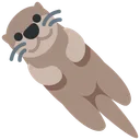수달