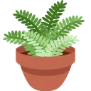 화분