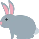 토끼