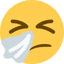 재채기하는 얼굴