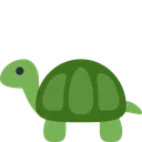 거북이