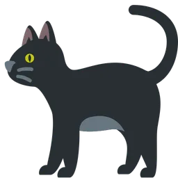 Black Cat — Twitter