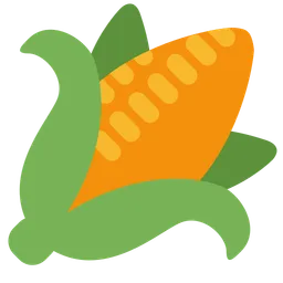 Ear of Maize — Twitter