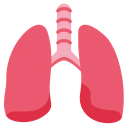 Lungs — Twitter