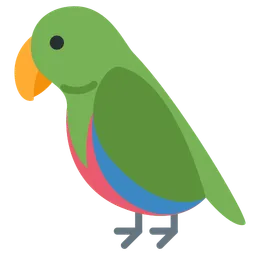앵무새 — Twitter