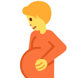 Pregnant Person — Twitter